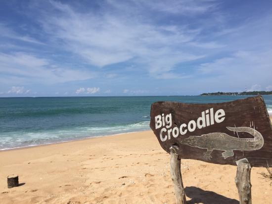 Big Crocodile Restaurant