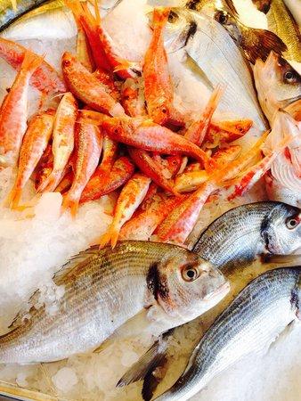 Balıkçı Osman & Muharrem