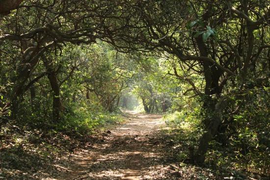Phansad Bird Sanctuary