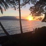 Sushi Market Sprouts