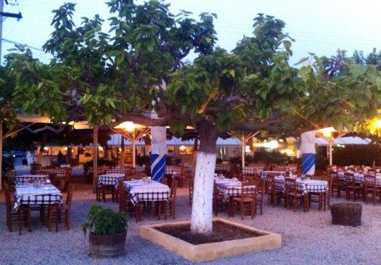 Margomenos Το Akrogiali