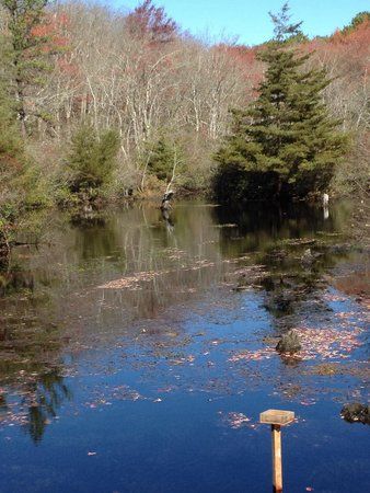 Quogue Wildlife Refuge
