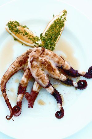 Yots Greek Taverna