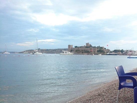 Bodrum Cilgin Kumrucu