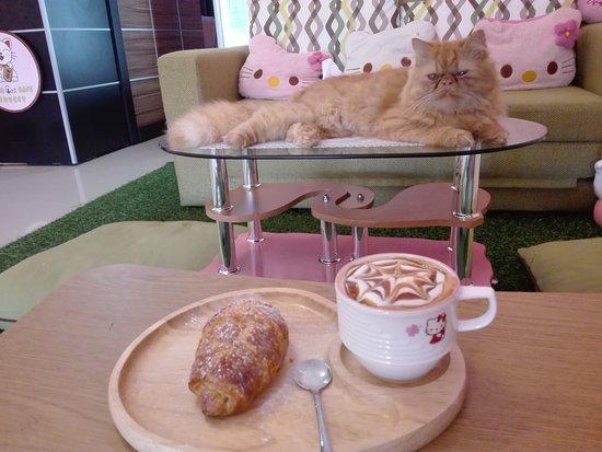 Neko Cat Cafe Phuket