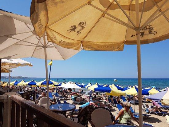 Summer Time Beach Bar