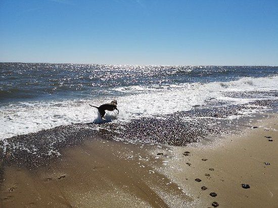 Winterton Coastwatch