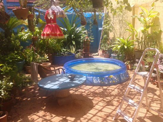 The Ganesh Garden