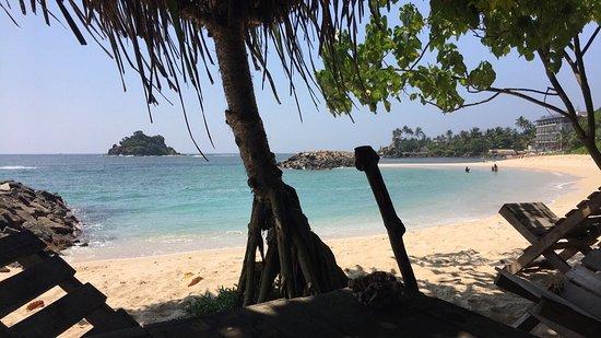 Wild Beach Bar