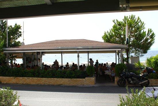 Strofilia Taverna