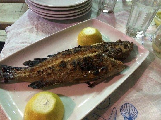 Karavi
