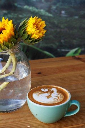 Baraka Coffee Co
