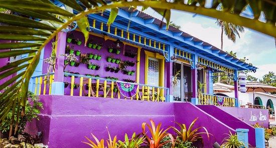 Louis & Steen's New Orleans Coffeehouse