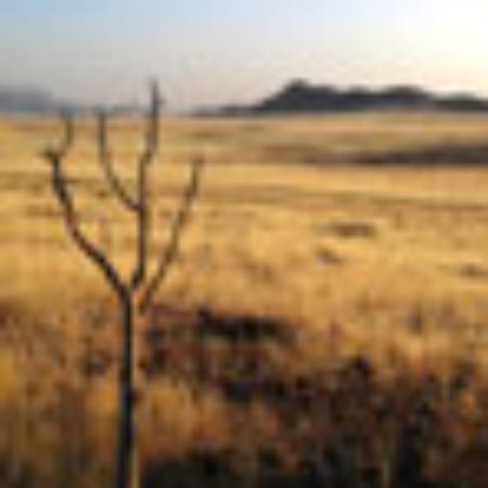 Bargara Beach Bakehouse