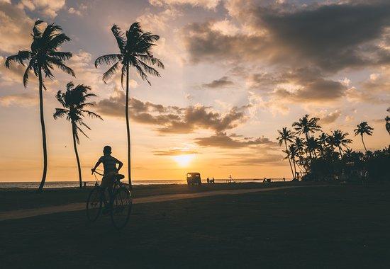 Jamu surf lodge