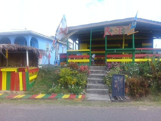 Roots 2