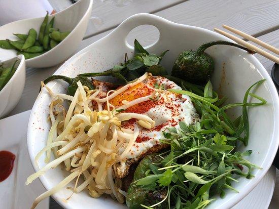 Shaka Sushi and Noodle Bar