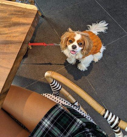 Butcher and The Farmer