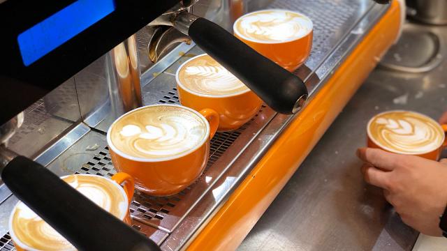 Surfing Lizard Espresso Bar