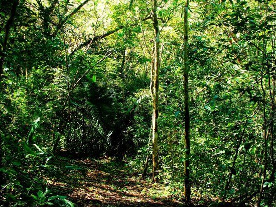 Werner Sauter Biological Reserve