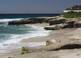 Windansea Beach