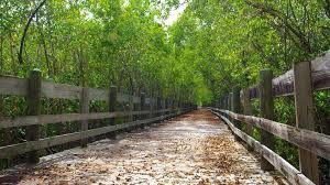 Pinones State Forest