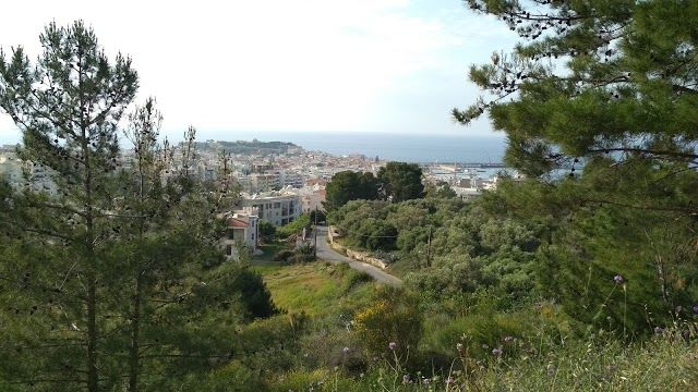 Dimotikos Kipos