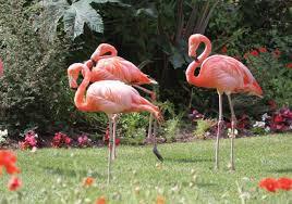 Paradise Park