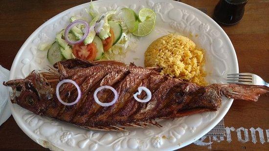 El Crustaceo Cascarudo