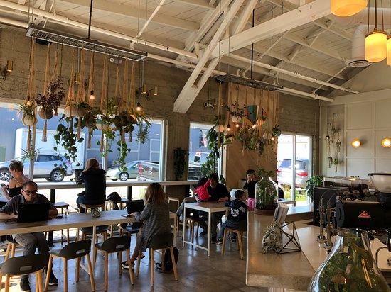 Verve Coffee Roasters