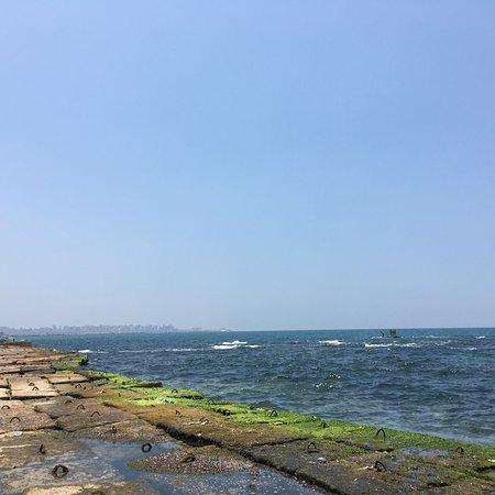View Cafe