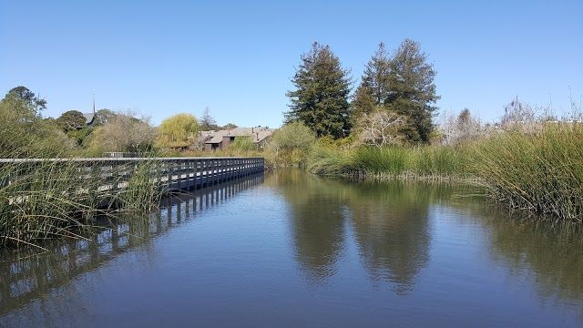 Neary Lagoon Park