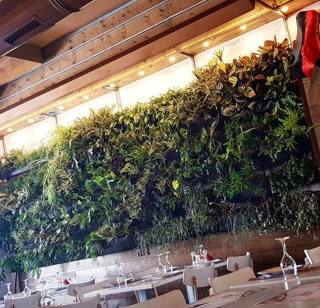El Toro Steak House
