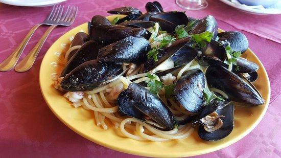 Pino Verde