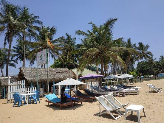 Shelton Sea Food Restaurant