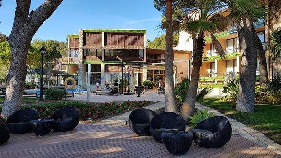 Punta Negra