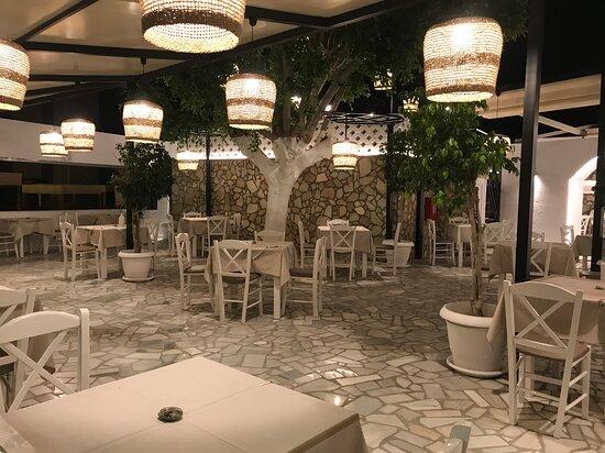 Desert Rose