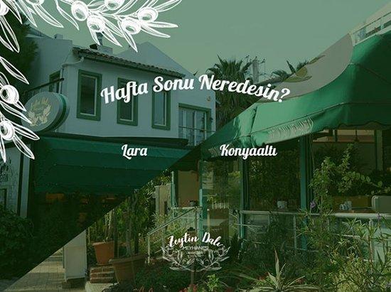 Zeytin Dali Meyhanesi Konyaalti