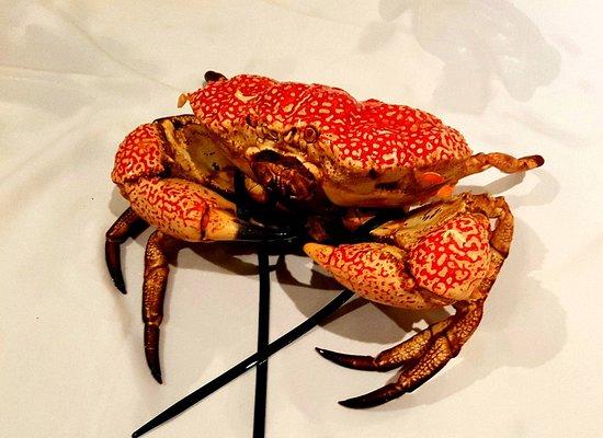 Legends Chinese Seafood Restaurant