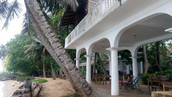 Palm Villa