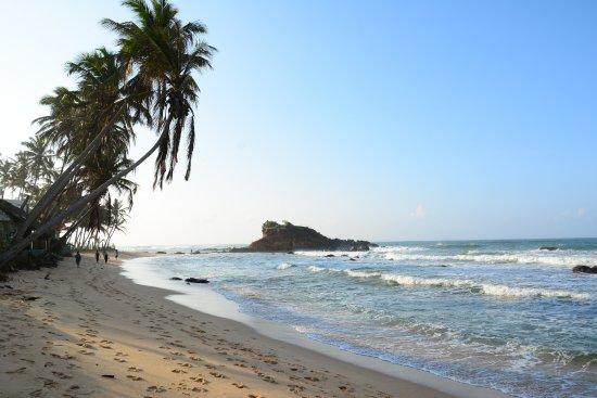 Turtle Beach Restaurant