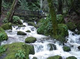 Cataract Trail