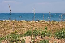 l'Oasi delle Dune degli Alberoni