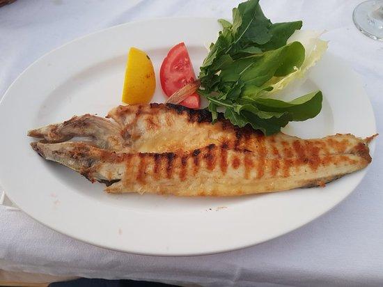 Hidayetin'in Yeri Deniz Restaurant