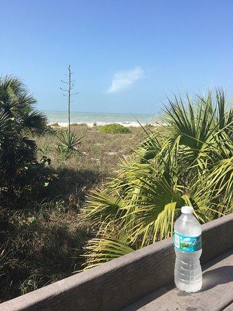 Shark Tooth Beach Concessions