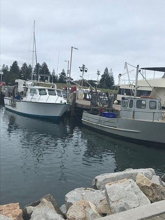 Bermagui Gelati Clinic
