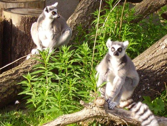 Zoo Rostock