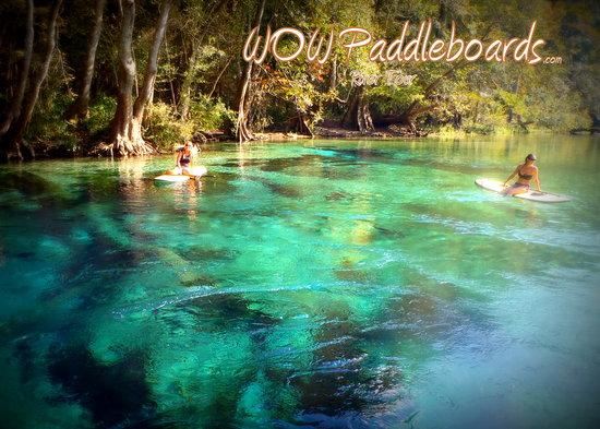 Walkin' On Water Paddleboards