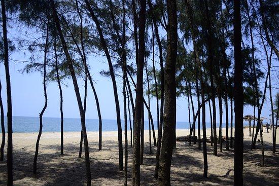 Kuzhupilly Beach