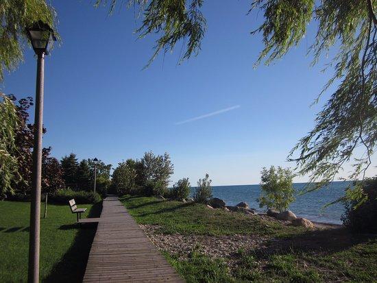 Cove Beach